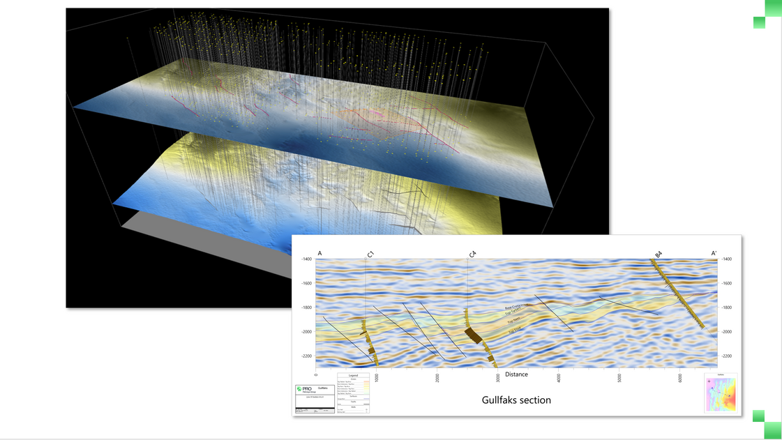 PRO 3D Viewer and X Sections